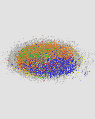 S1 Network Diagram Thumbnail